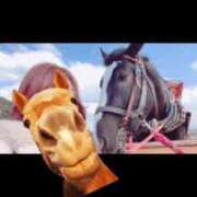 ヒメ日記 2025/10/01 20:35 投稿 ふうか(奥様) 姫マーケット