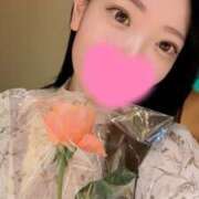 ヒメ日記 2025/03/12 15:27 投稿 あん コートダジュール