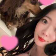 ヒメ日記 2025/04/07 15:44 投稿 あん コートダジュール