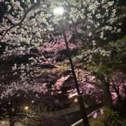 ヒメ日記 2025/04/13 20:15 投稿 あん コートダジュール