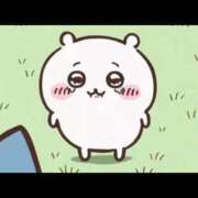 ヒメ日記 2026/03/25 16:07 投稿 あん コートダジュール