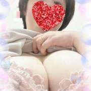 ヒメ日記 2025/04/19 13:15 投稿 新開めい 大阪ぽっちゃり妻