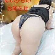 ヒメ日記 2025/12/17 08:16 投稿 新開めい 大阪ぽっちゃり妻