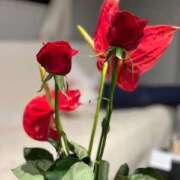 ヒメ日記 2025/05/03 20:17 投稿 櫻子(さくらこ) 人妻出逢い会 百合の園 山の手本店