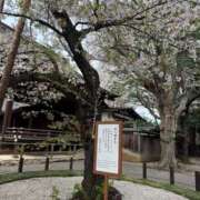 愛弓/あゆみ ありがとうございました 五反田アネージュ（ユメオト）