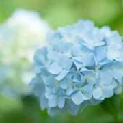 ヒメ日記 2025/06/10 15:50 投稿 みつり Sakura Spa