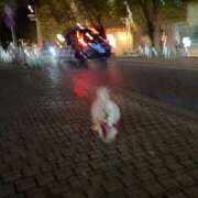 ヒメ日記 2024/12/14 01:16 投稿 生田るな ABC 岩手ソープ