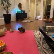 ヒメ日記 2024/12/14 11:01 投稿 生田るな ABC 岩手ソープ