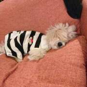 ヒメ日記 2024/12/30 00:31 投稿 生田るな ABC 岩手ソープ