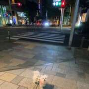 ヒメ日記 2024/12/30 12:46 投稿 生田るな ABC 岩手ソープ