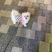 ヒメ日記 2024/12/31 08:16 投稿 生田るな ABC 岩手ソープ