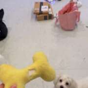 ヒメ日記 2025/04/22 17:46 投稿 生田るな ABC 岩手ソープ