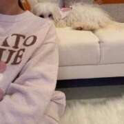 ヒメ日記 2025/04/27 18:16 投稿 生田るな ABC 岩手ソープ