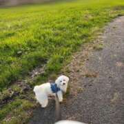 ヒメ日記 2025/04/30 17:31 投稿 生田るな ABC 岩手ソープ