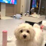 ヒメ日記 2025/05/23 06:46 投稿 生田るな ABC 岩手ソープ