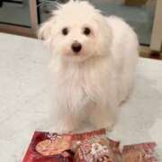 ヒメ日記 2025/05/23 17:46 投稿 生田るな ABC 岩手ソープ