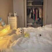 生田るな ありがとう！ ABC 岩手ソープ