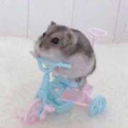 ヒメ日記 2025/01/03 17:16 投稿 白石まりな ABC 岩手ソープ