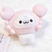 ヒメ日記 2025/01/19 15:16 投稿 白石まりな ABC 岩手ソープ