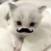 ヒメ日記 2025/07/02 14:16 投稿 白石まりな ABC 岩手ソープ