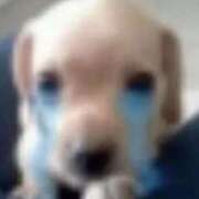 ヒメ日記 2025/07/07 15:46 投稿 白石まりな ABC 岩手ソープ