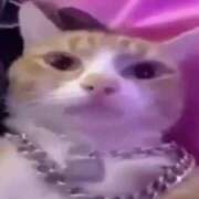 ヒメ日記 2025/07/07 21:31 投稿 白石まりな ABC 岩手ソープ