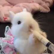 ヒメ日記 2025/07/09 00:31 投稿 白石まりな ABC 岩手ソープ