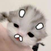 ヒメ日記 2025/07/14 13:16 投稿 白石まりな ABC 岩手ソープ