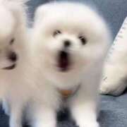 ヒメ日記 2025/07/21 21:46 投稿 白石まりな ABC 岩手ソープ