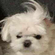 ヒメ日記 2025/07/22 07:31 投稿 白石まりな ABC 岩手ソープ