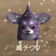 ヒメ日記 2025/10/04 19:31 投稿 白石まりな ABC 岩手ソープ