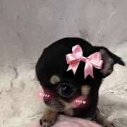 ヒメ日記 2025/10/23 21:31 投稿 白石まりな ABC 岩手ソープ