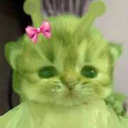 ヒメ日記 2025/10/25 21:46 投稿 白石まりな ABC 岩手ソープ