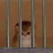 ヒメ日記 2025/11/06 21:31 投稿 白石まりな ABC 岩手ソープ