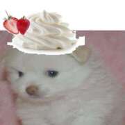 ヒメ日記 2025/11/11 12:31 投稿 白石まりな ABC 岩手ソープ