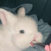 ヒメ日記 2026/01/11 21:46 投稿 白石まりな ABC 岩手ソープ