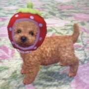 ヒメ日記 2026/01/30 14:46 投稿 白石まりな ABC 岩手ソープ