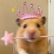 ヒメ日記 2026/02/07 12:31 投稿 白石まりな ABC 岩手ソープ