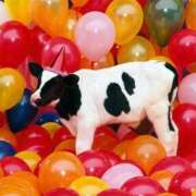 ヒメ日記 2024/12/10 21:46 投稿 比留駒りりこ ABC 岩手ソープ