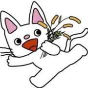 ヒメ日記 2024/12/11 08:46 投稿 比留駒りりこ ABC 岩手ソープ