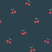 ヒメ日記 2025/03/03 13:46 投稿 比留駒りりこ ABC 岩手ソープ