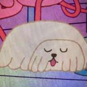 ヒメ日記 2025/03/03 21:16 投稿 比留駒りりこ ABC 岩手ソープ