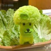 ヒメ日記 2025/03/31 21:01 投稿 比留駒りりこ ABC 岩手ソープ