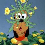 ヒメ日記 2025/04/10 11:16 投稿 比留駒りりこ ABC 岩手ソープ