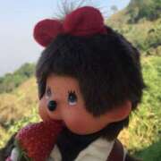 ヒメ日記 2025/04/14 21:16 投稿 比留駒りりこ ABC 岩手ソープ