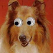 ヒメ日記 2025/05/16 07:16 投稿 比留駒りりこ ABC 岩手ソープ