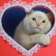 ヒメ日記 2025/05/20 14:01 投稿 比留駒りりこ ABC 岩手ソープ