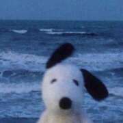 ヒメ日記 2025/05/21 08:46 投稿 比留駒りりこ ABC 岩手ソープ