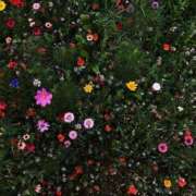 ヒメ日記 2025/06/11 11:46 投稿 比留駒りりこ ABC 岩手ソープ