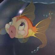 ヒメ日記 2025/08/20 11:16 投稿 比留駒りりこ ABC 岩手ソープ